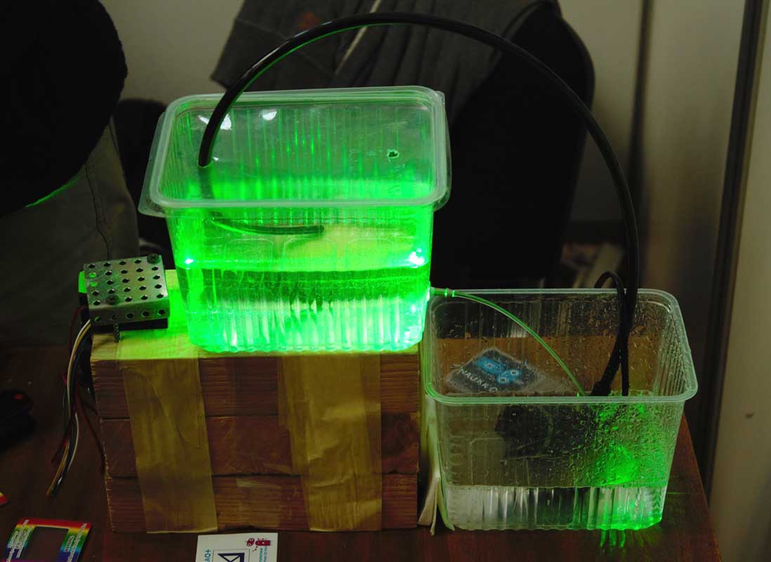 ИАиЭ СО РАН на фестивале "Наука 0+" ИАиЭ СО РАН на фестивале "Наука 0+"