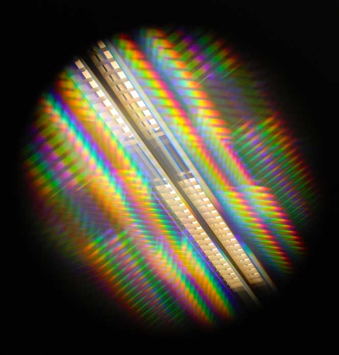 ИАиЭ СО РАН на фестивале "Наука 0+" ИАиЭ СО РАН на фестивале "Наука 0+"