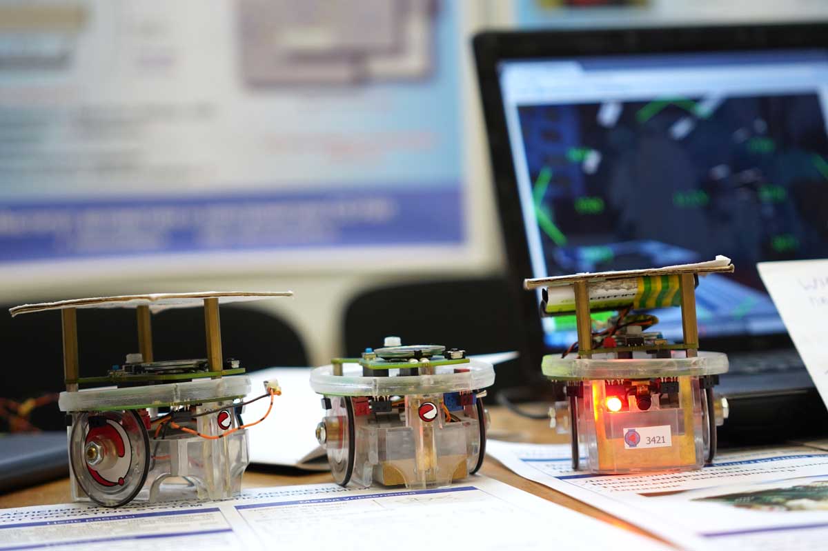 ИАиЭ СО РАН на фестивале "Наука 0+" ИАиЭ СО РАН на фестивале "Наука 0+"